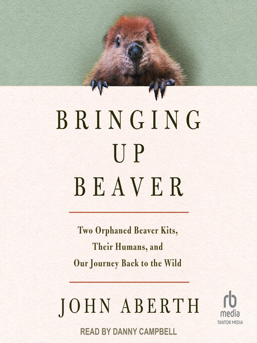 Cover image for Bringing Up Beaver